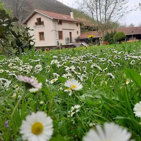 River Garden Σπίτι διακοπών *