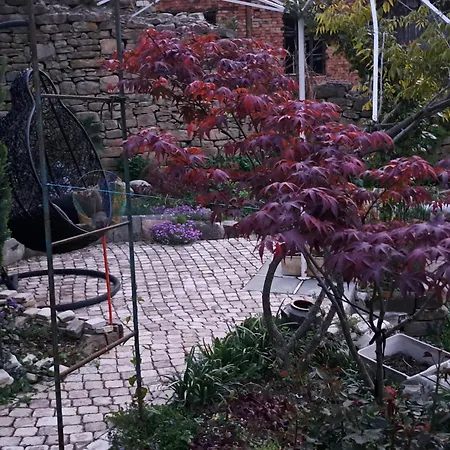 Nyaraló River Garden