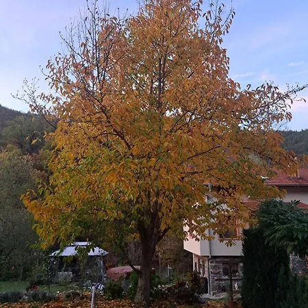River Garden Σπίτι διακοπών *